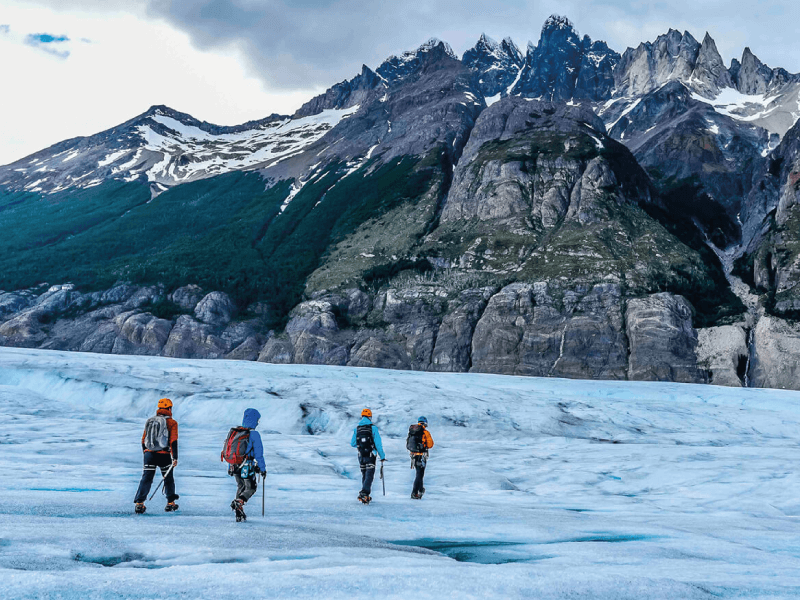 Grey Glacier Ice Hiking