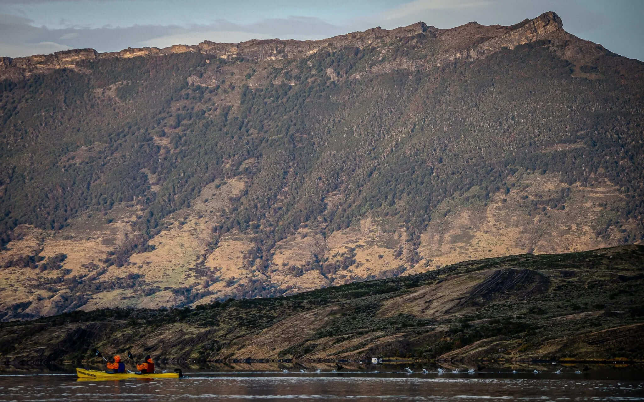 Kayaking in Eberhard Fjord