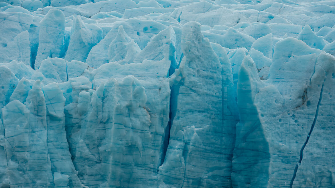 Gray Glacier Navigation