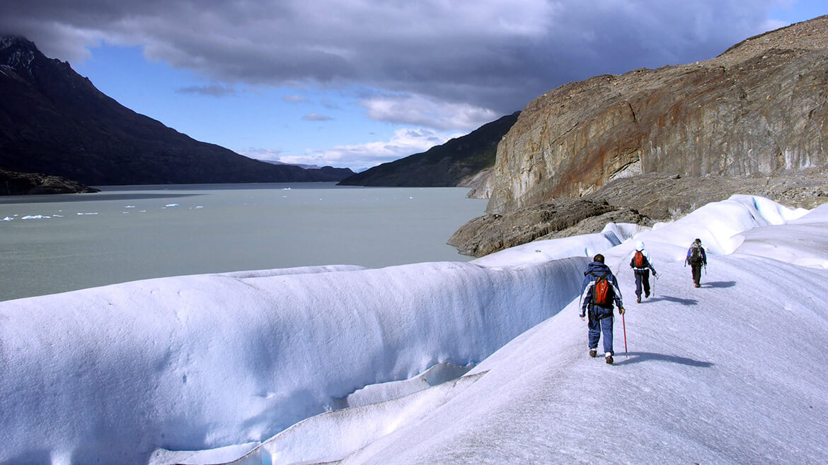 Grey Glacier Ice Hiking