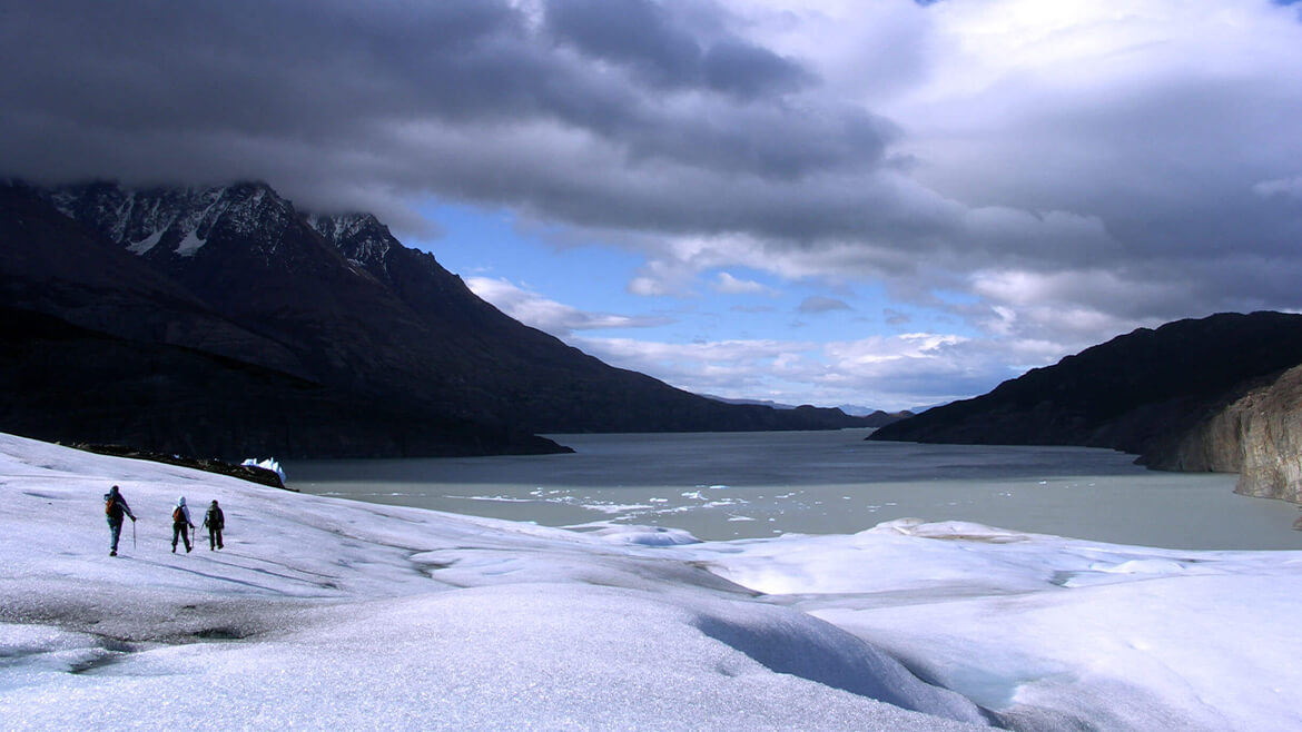 Grey Glacier Ice Hiking