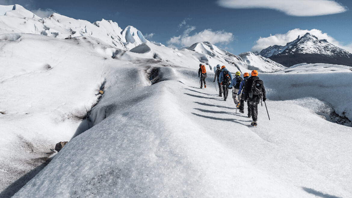 Grey Glacier Ice Hiking