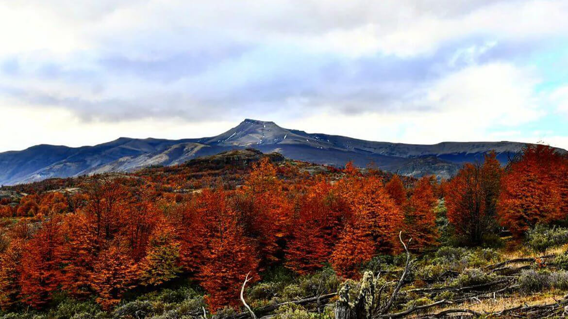 Rupestre Hiking