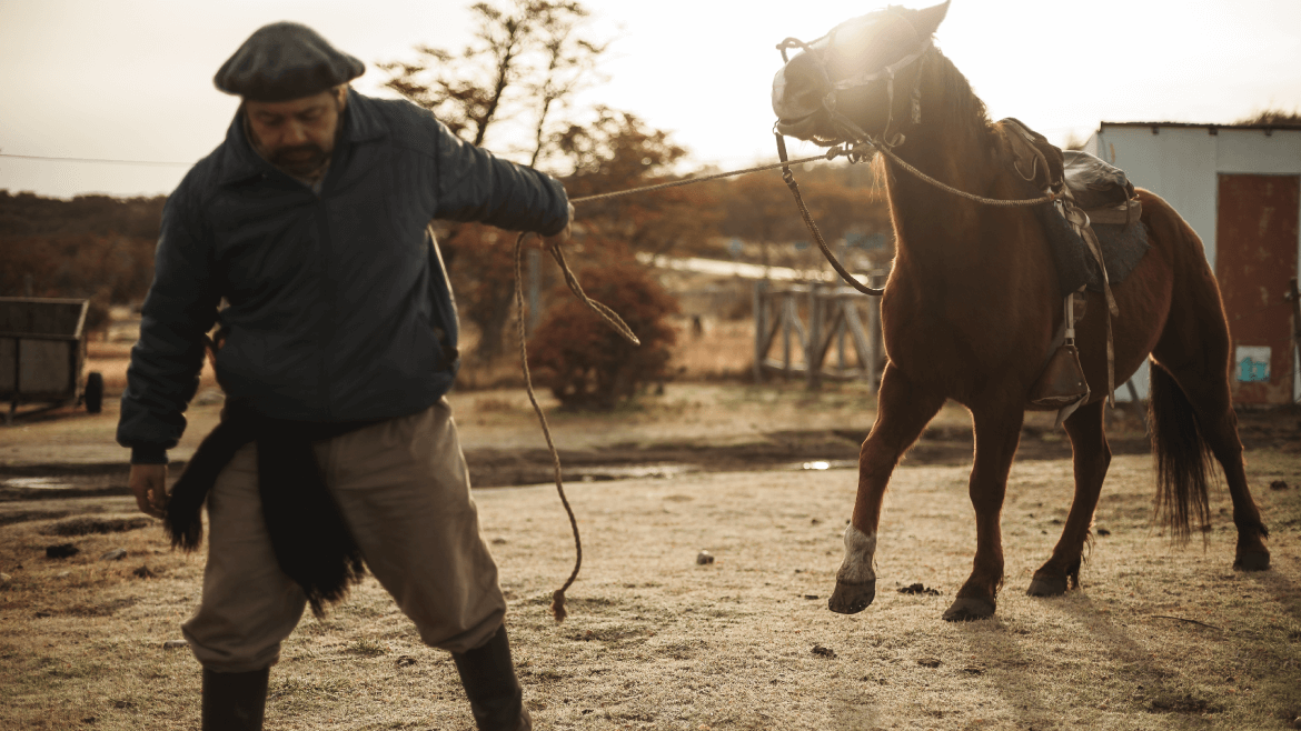 Cerro Dorotea Horseback Riding